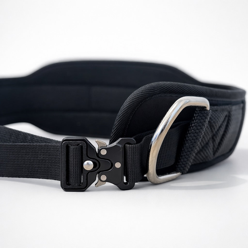 Dip Belt for calisthenics and strength training