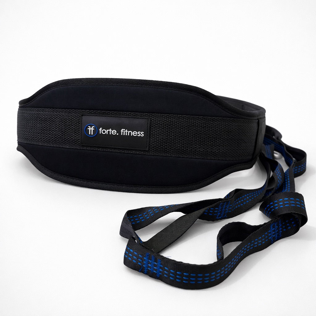 Dip Belt for calisthenics and strength training