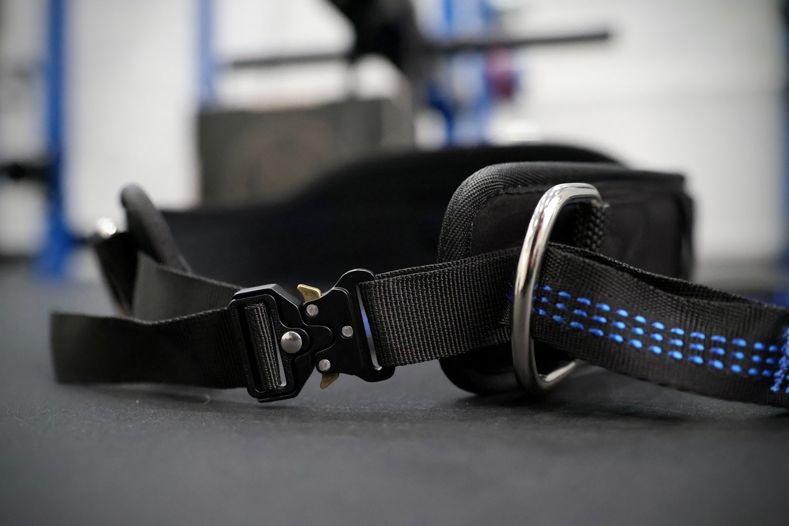 Dip Belt for calisthenics and strength training