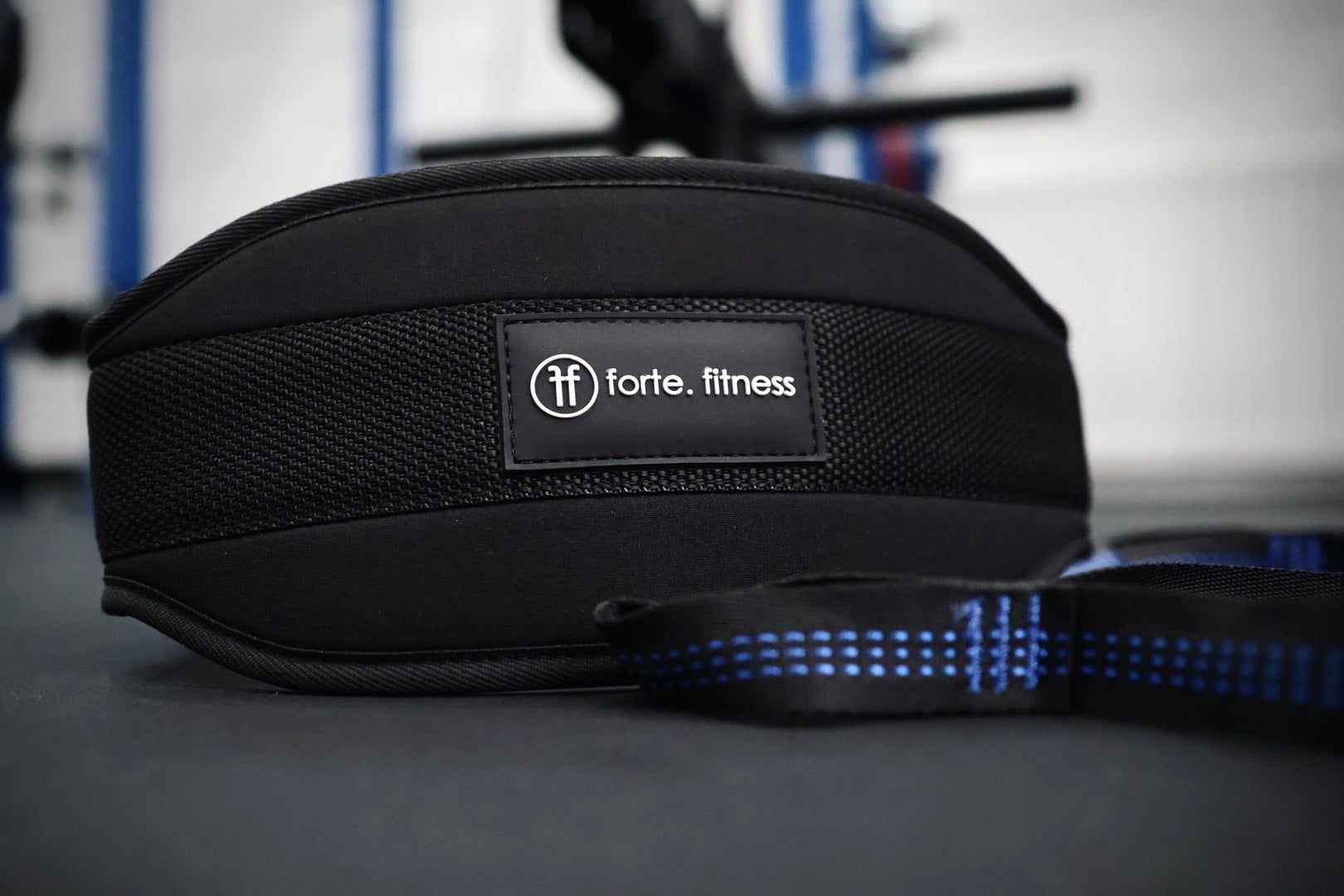 Dip Belt for calisthenics and strength training